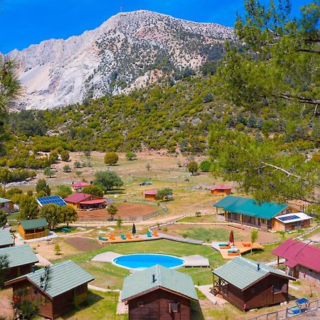 Babakamp Eco Ranch & Retreat Otel Ölüdeniz Dış mekan fotoğraf