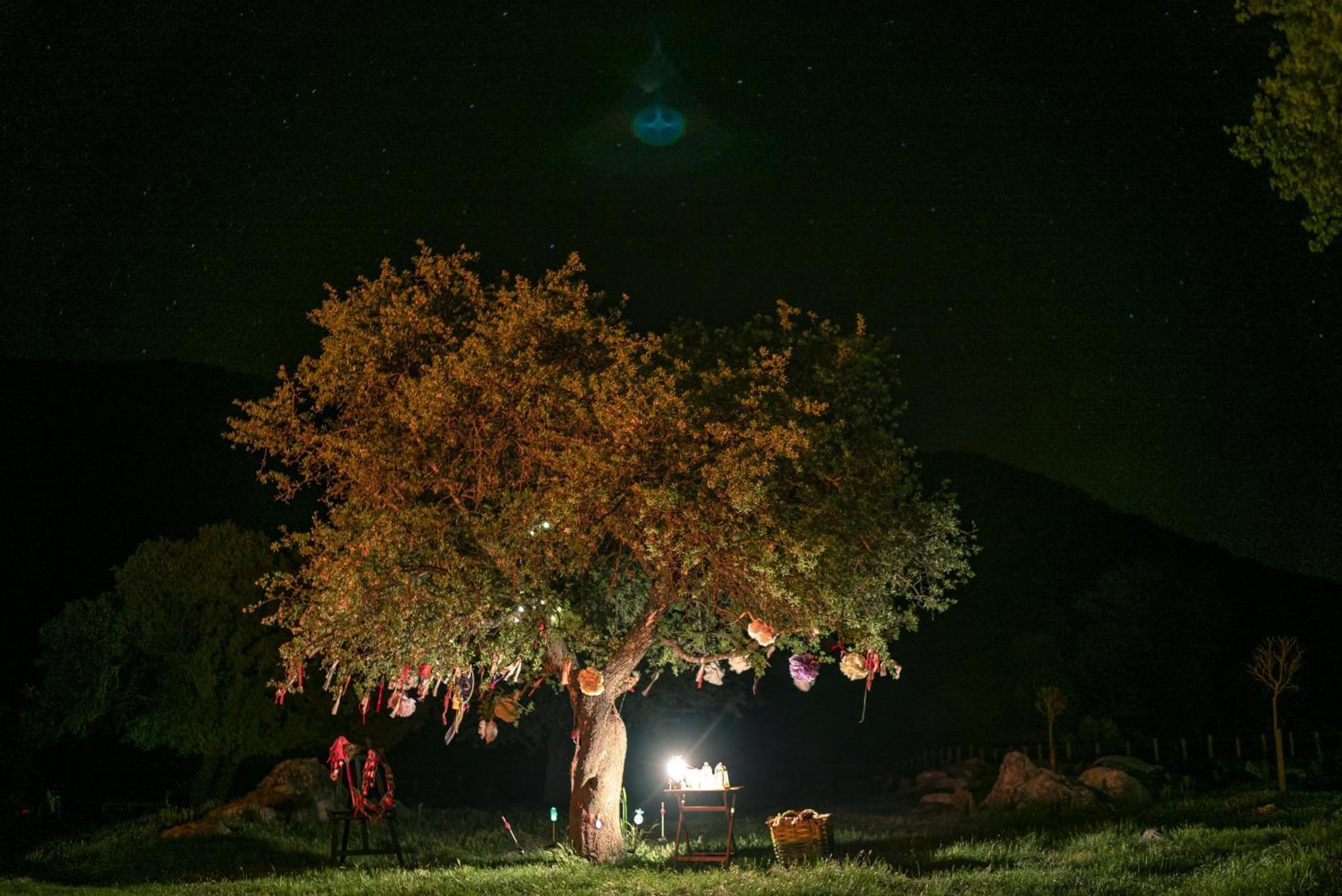 Babakamp Eco Ranch & Retreat Otel Ölüdeniz Dış mekan fotoğraf