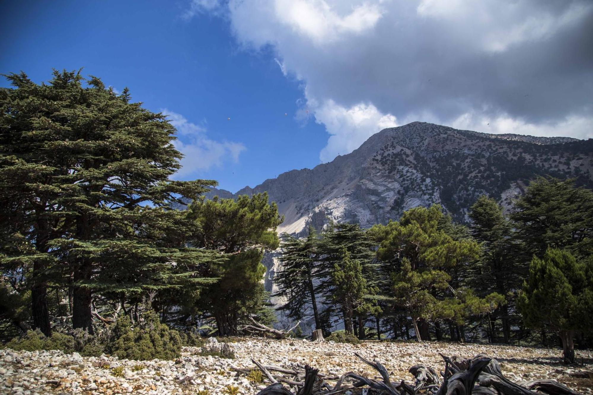 Babakamp Eco Ranch & Retreat Otel Ölüdeniz Dış mekan fotoğraf