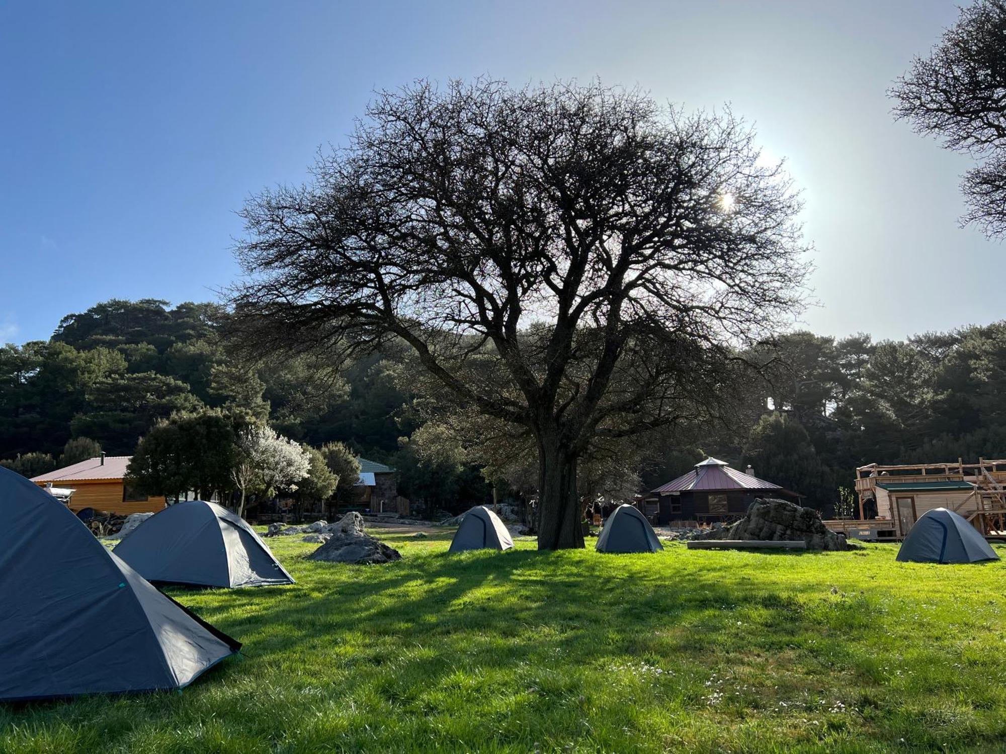 Babakamp Eco Ranch & Retreat Otel Ölüdeniz Dış mekan fotoğraf