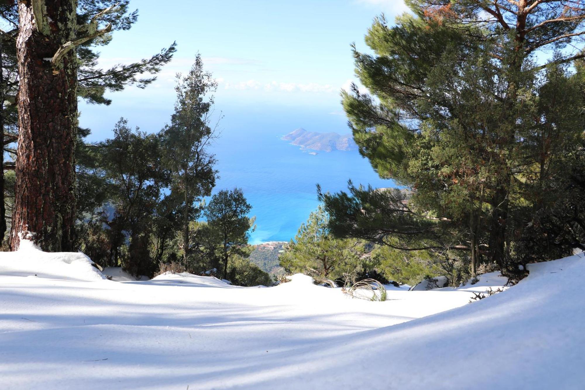 Babakamp Eco Ranch & Retreat Otel Ölüdeniz Dış mekan fotoğraf